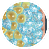 coolsculpt-step-2@2x