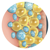 coolsculpt-step-3@2x