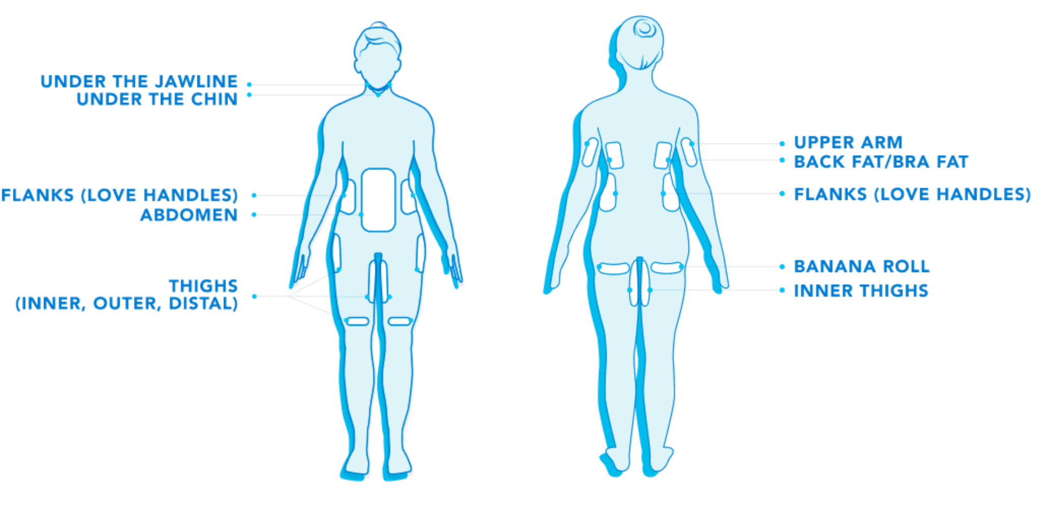 female chart of body