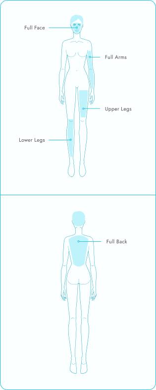 Body chart for face, arms, legs, and back
